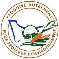 FSL